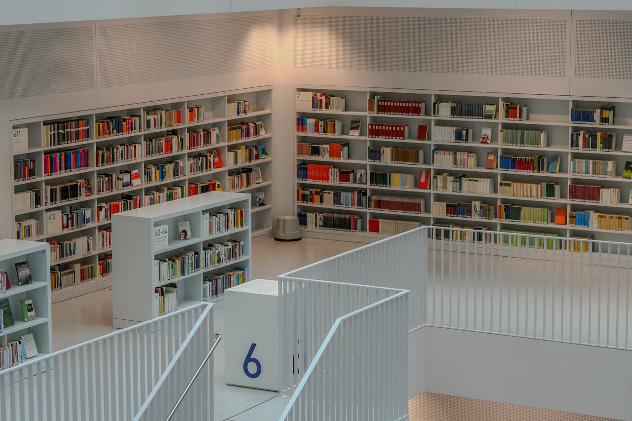 pexels photo 33461675.jpeg